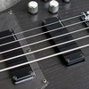 BassJapanUSA.ru