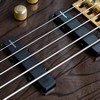 BassJapanUSA.ru