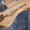 BassJapanUSA.ru